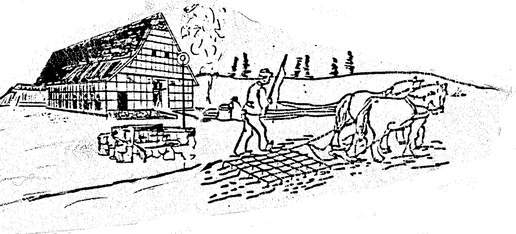 Vereinsgeschichte
