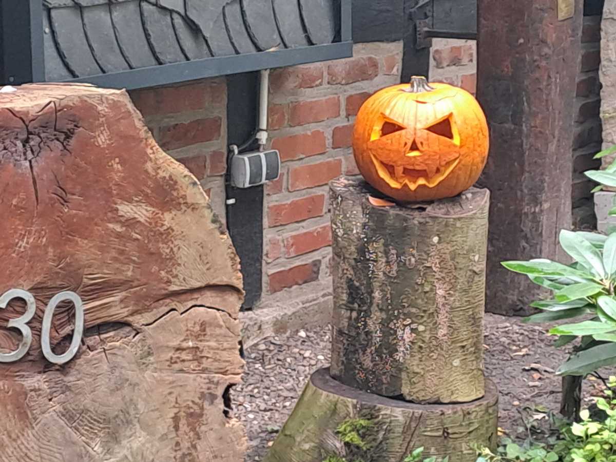 Halloween K&uuml;rbis 12