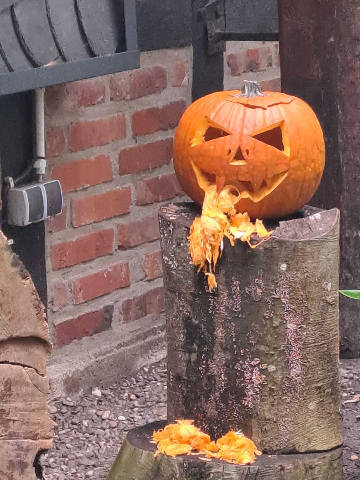 Halloween K&uuml;rbis 13