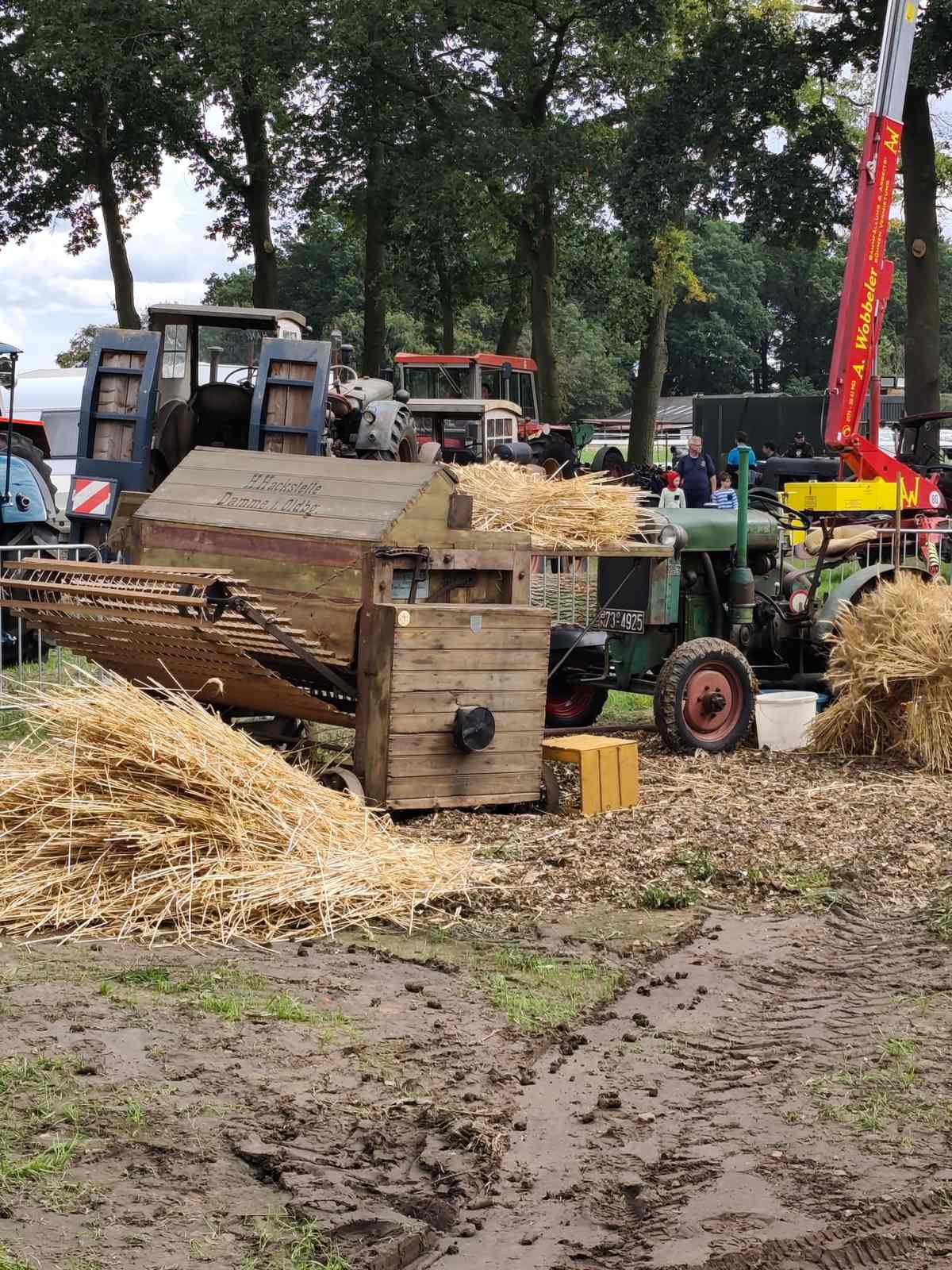 Dreschfest am Alfsee 2026
