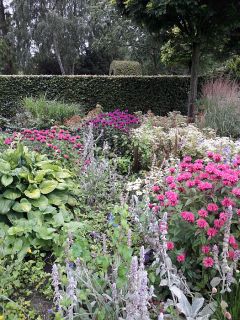 Im Kreislehrgarten in Steinfurt